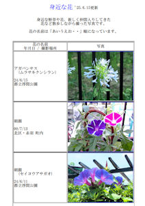 Flower_Book